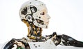 Advanced Humanoid Robot Head and Torso - Futuristic Technology Royalty Free Stock Photo