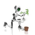 Robot Humanoid plants a seedling in a flowerpot on a white background. Future concept with smart robotics and artificial intellige