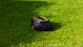 Robot lawnmower mows grass on a green lawn. automatic work in gadren Royalty Free Stock Photo