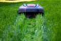 Robot mower cutting high grass.