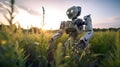 A robot standing in a field of tall grass. AI generative image Royalty Free Stock Photo