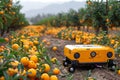 Robot is standing in the garden among fallen oranges Royalty Free Stock Photo