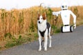 Robot is taking a walk with a dog