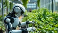 Robot tending garden plants, futuristic farming, and AI technology, Stock Photo, Generative AI