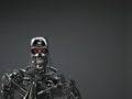 Robot terminator