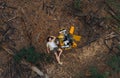 Robot transformer Bumblebee stands among forest next to the lying on ground girl