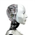 A robot woman head with internal technology Royalty Free Stock Photo