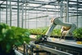 robot works on agricultural seed field