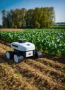 Robotic Agriculture Robot Working in Farm Field