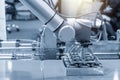 The robotic arm for food packing process in factory. Royalty Free Stock Photo