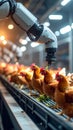 Robotic Arm Inspecting Chickens in a Modern Poultry Farm Royalty Free Stock Photo