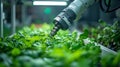 Robotic arm tending to hydroponic plants in a modern greenhouse environment. Generative AI