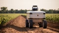 Robotic assistance revolutionizing agriculture modernizing fields with cutting edge technology