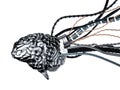 Robotic brain with wires