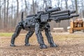 Robotic dog in forest environment showcasing advanced technology and innovation Royalty Free Stock Photo