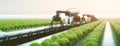 robotic efficient farming taking over in watering and agriculture industry as wide banner with copyspace area, Generative AI
