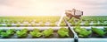 robotic efficient farming taking over in watering and agriculture industry as wide banner with copyspace area, Generative AI