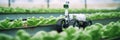 Robotic efficient farming taking over in watering and agriculture industry. copyspace area. Generative AI