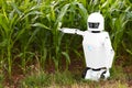 Robotic farmer is standing in front of a cornfield