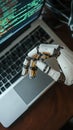 Robotic Hand Dexterously Codes on a Laptop, A Futuristic Glimpse into Automation and Software Development, Showcas Royalty Free Stock Photo