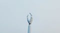 A robotic hand poised in a human-like gesture, symbolizing empathy, connection, and the integration of AI with human