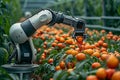 Robotic harvest Technology automates agriculture as a robot arm reaps