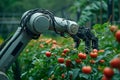 Robotic harvest Technology automates agriculture as a robot arm reaps