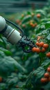 Robotic harvest Technology automates agriculture as a robot arm reaps