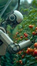 Robotic harvest Technology automates agriculture as a robot arm reaps