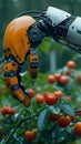 Robotic harvest Technology automates agriculture as a robot arm reaps
