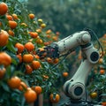 Robotic harvest Technology automates agriculture as a robot arm reaps