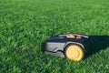 Robotic Lawn Mower cutting grass in the garden. Automatic robot lawnmower in modern garden on sunny day Royalty Free Stock Photo