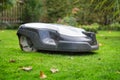 Robotic lawn mower cutting grass in the garden