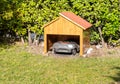 Robotic Lawn Mower parking at the charging station