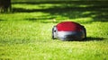 Robotic lawn mower on summer meadow in the garden Royalty Free Stock Photo