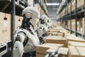 Robotic package handling is vital in warehouse automation, optimizing the supply chain AIG62