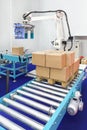 Robotic palletizer