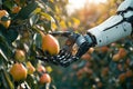Robotic fruit picker harvesting pears in a sunlit orchard. Generative AI Royalty Free Stock Photo