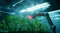 Robotic Plant Monitoring System Futuristic farming automated analysis technological advancement precision agriculture plant