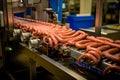 A robotic sausage - making conveyor Royalty Free Stock Photo