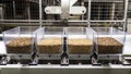 A robotic sorting system categorizing different kinds of nuts on a fastpaced production line with clear bins for each