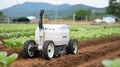 Robotic technology optimizing agricultural field operations for increased productivity