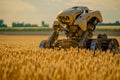 Robotic wheat harvesting. Mechanisms of the future