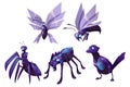 Robots animals magpie, wasp, bee, mantis or spider