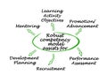 Robust competency model