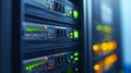 Robust network server infrastructure with multiple switches and connections for efficient data processing Royalty Free Stock Photo