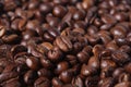 Robusta Coffee Beans