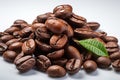 Robusta Coffee Beans on white background