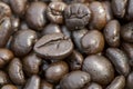 Robusta coffee. Royalty Free Stock Photo