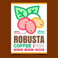 Robusta Coffee Creative Advertising Banner Vector